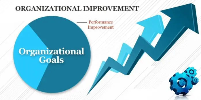organizational performance